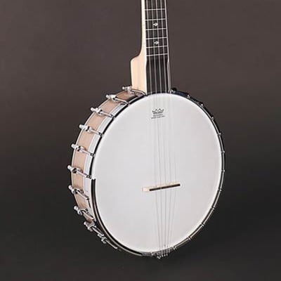 Richwood Master Series RMB-1405-LN long neck open back 5-string banjo image 1