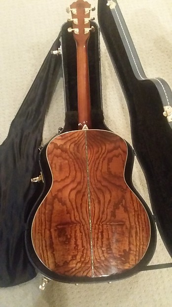 Washburn WG4S