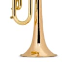 Bach LT190L1B Bb Trumpet - Professional, L .462'' Bore, Lacquer Finish