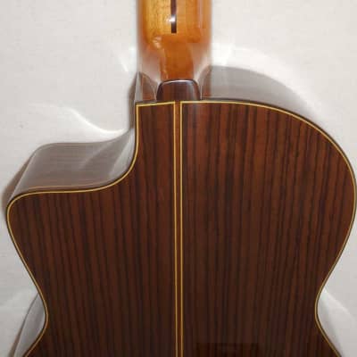 BLACK FRIDAY SALE Bartolex SRC7CEL Classical 7-String Harp Guitar w/Cutaway, Fishman Presys Pickup! image 13