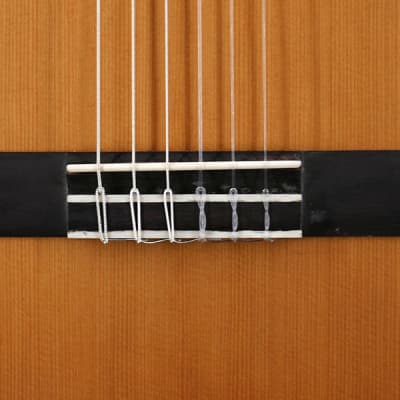 Walden SupraNatura Classical Guitar, Acoustic Nylon String 2010s image 3