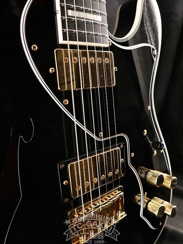 ギター Freedom C.G.R. Black Pepper FREEDOM CUSTOM GUITAR RESEARCH 2021 Black Pepper | Reverb