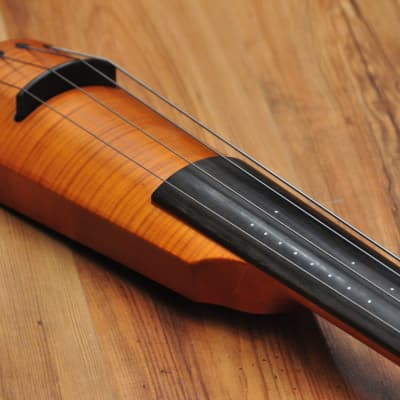 NS Design CR4 Double Bass Amber image 12