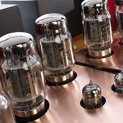 UNISON RESEARCH Performance Anniversary - Stereo Integrated Tube Amplifier - NEW! image 5