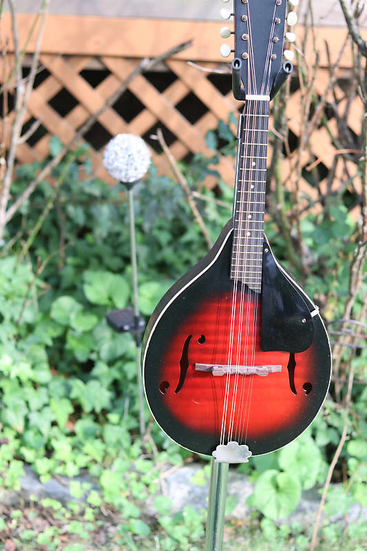 Harmony Monterrey mandolin - Sunburst image 1
