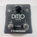 TC Electronic Ditto X2 Looper *Sustainably Shipped*