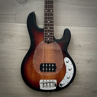 Sterling by Music Man StingRay 4-String Bass, Spalted Maple, 3-Tone Sunburst, Roasted Maple Neck (New for 2024) image 2