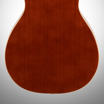 Ibanez PN1 Parlor Acoustic Guitar, Natural image 5