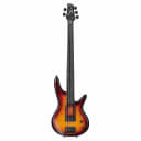 Ibanez GWB205 Gary Willis 5-String Fretless Bass Guitar (Sunburst)