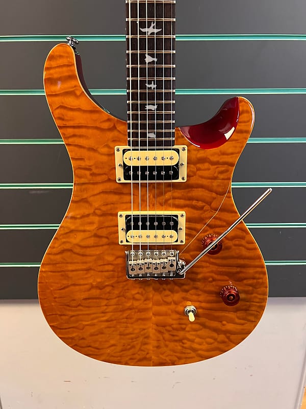 PRS 25th Anniversary SE Custom 24 | Reverb