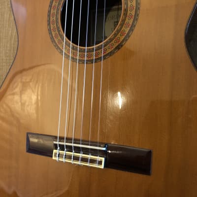Cordoba 40R Classical Acoustic Guitar Natural 2001 w/ OHSC image 10