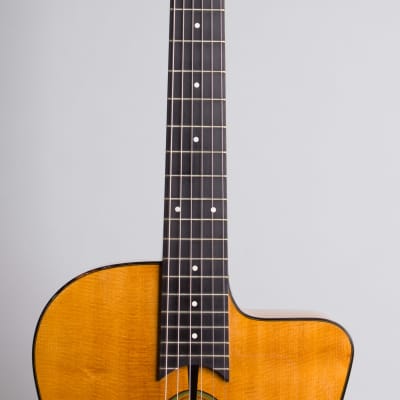 Michael Dunn  Fleche D'Or Gypsy Jazz Guitar (2005), ser. #487, original black hard shell case. image 8
