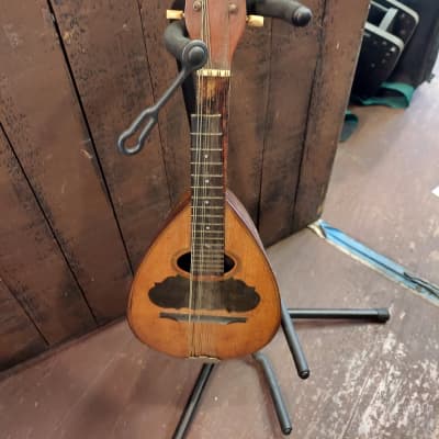 希少 ヴィンテージ RexProfessional ボウルバックマンドリン Vintage Rex Professional Bowlback Mandolin | Reverb