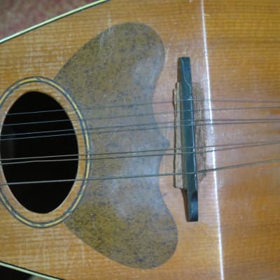 vintage antique 1910 Carl Fischer mandolin  LYON + HEALEY w/ orig case americana folk music instruments image 17
