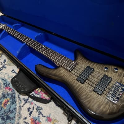 OLP Spector Bass 5 for sale