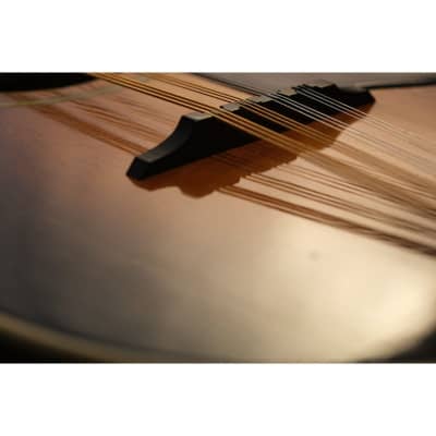 1938 Levin Model 370 12-string mandolin sunburst image 12