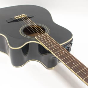 Takamine EG 334 BC G Series Acoustic Electric Guitar with Gig Bag