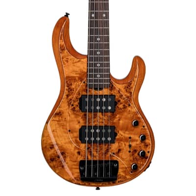 Sterling by Music Man STINGRAY35 HH 5-STRING BASS GUITAR (Amber, Rosewood FRETBOARD) image 1
