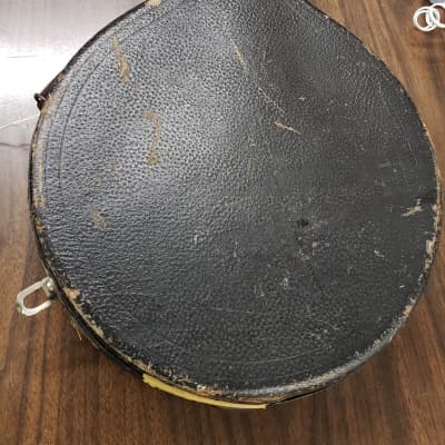 Orpheum No. 1 Banjo Mandolin Banjolin 1919 Natural | Reverb