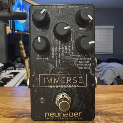 Neunaber Audio Effects Immerse Reverb | Reverb
