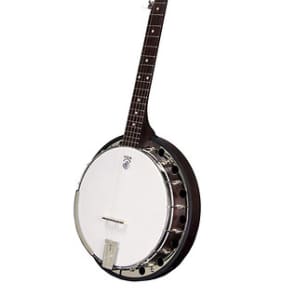 Deering Classic Goodtime Special Resonator 5-string banjo image 1
