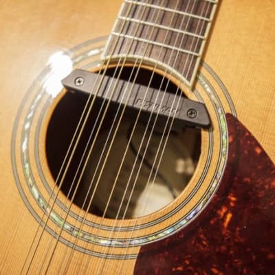 Samick D7 Dreadnought Acoustic Guitar with Fishman Rare Earth Pick Up for sale