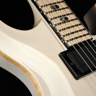 Caparison - Angelus-NH Nick Hipa Signature - 5A Flame Maple Top - Trans White -  Electric Guitar with Gig Bag image 17