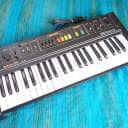 Roland SA-09 Saturn Organ Synthesizer - 80's Vintage Analog Synthesizer - E02