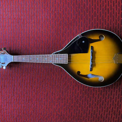 Johnson Mandolin guitar A-style 2010s for sale