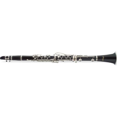 Selmer Paris CL210 Clarinet with case, Very Good | Reverb