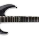 ESP LTD MH-1000FM EverTune 6 Strings Solidbody Electric Guitar with Mahogany Body