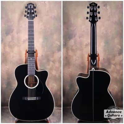 Headway HC-313 STD 40th Anniversary | Reverb
