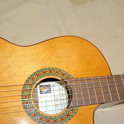 Manuel Rodriguez Model A Cut Classical Acoustic Guitar with Case image 9