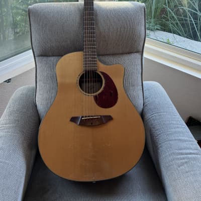 Breedlove AD25/SM With Video for sale