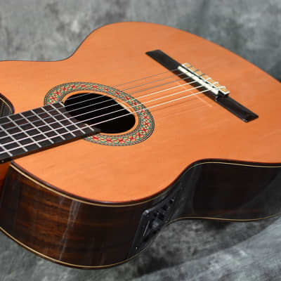 Manuel Rodriguez Model A Cut Cutaway Nylon Classical Acoustic Electric w Hardshell Case & FAST Shipping image 7