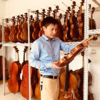 Violin Town