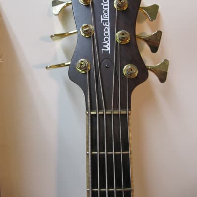 Wood&Tronics 6 String Bass Enrico Pasini Made image 3