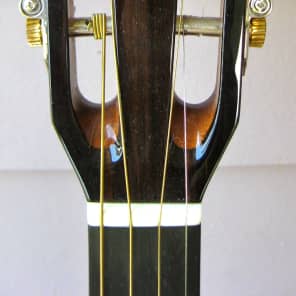Breedlove Tenor Guitar image 8