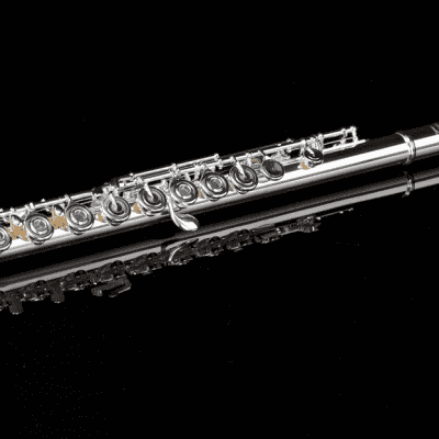Pearl 665RBVGR *Pre-Order* Quantz Vigore Flute Open Hole/B Foot/C# Trill/D# Roller/3K Gold Lip | Special Order | Authorized Dealer image 1