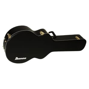 Ibanez AF100C Guitar Case