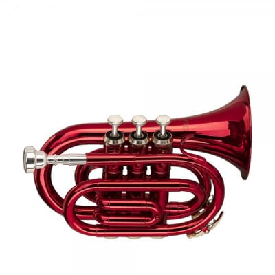 Stagg WS-TR247S ML-Bore, Brass Body Bb Pocket Trumpet w/Soft Case & Mouthpiece 7C Silver Plated image 2