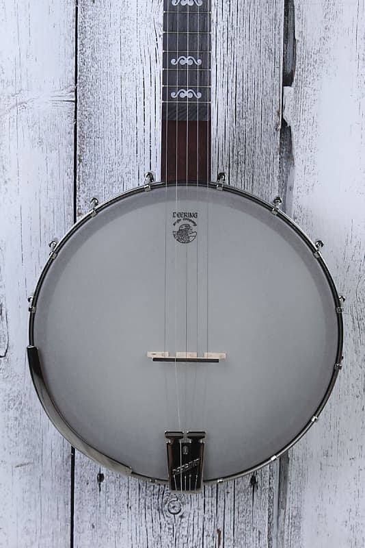 Scooped 2024 neck banjo