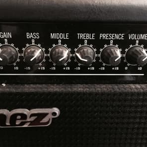 SUPER CHEAP Ibanez SW65 Sound Wave 65 Watt 1x12