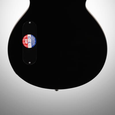 ESP LTD TL-12 Thinline Acoustic-Electric Guitar, 12-String image 6