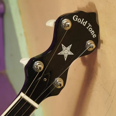 2022 Gold Tone OT-800LN Longneck 5-String Banjo (VIDEO! Fresh Setup, Ready) image 3