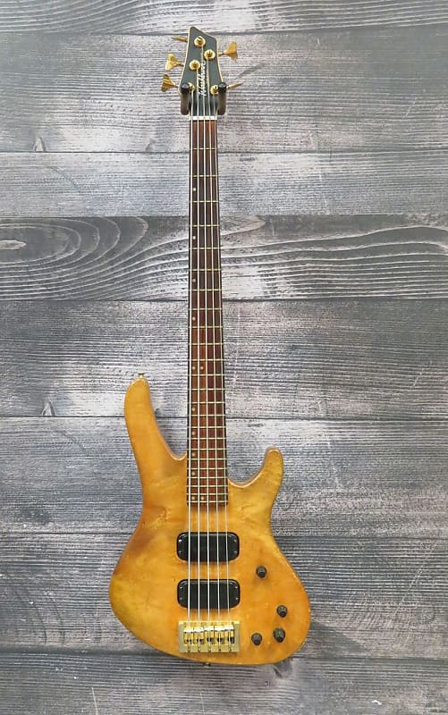 Washburn Bantam XB925 5 String Bass Guitar (Cleveland, OH