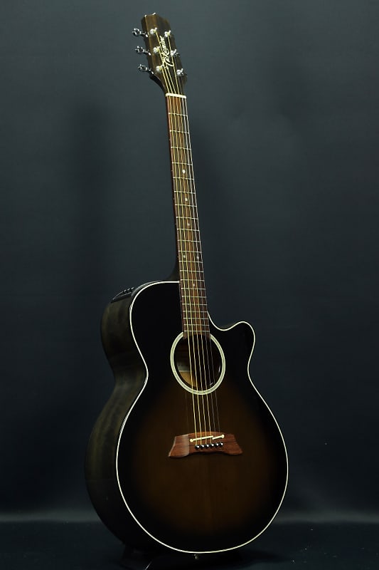 Takamine PT107 GBB (09/25) | Reverb
