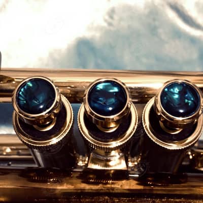 TAYLOR CUSTOM Bb TRUMPET "LOUISIANA"—Amazing Tone+Gorgeous. One-Of-A-Kind. From a Hollywood film!!! image 3