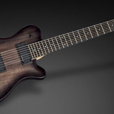 Framus D-Series Panthera 7-String - Nirvana Black Transparent High Polish |  Reverb