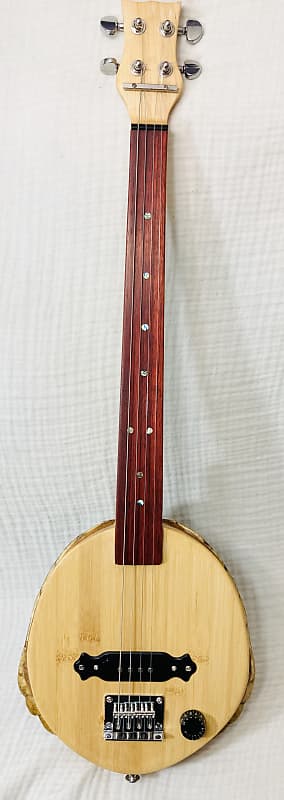 Turtle shell 4 string fretless slide guitar image 1